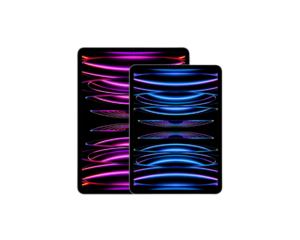 iPad Pro 11-inch 256GB